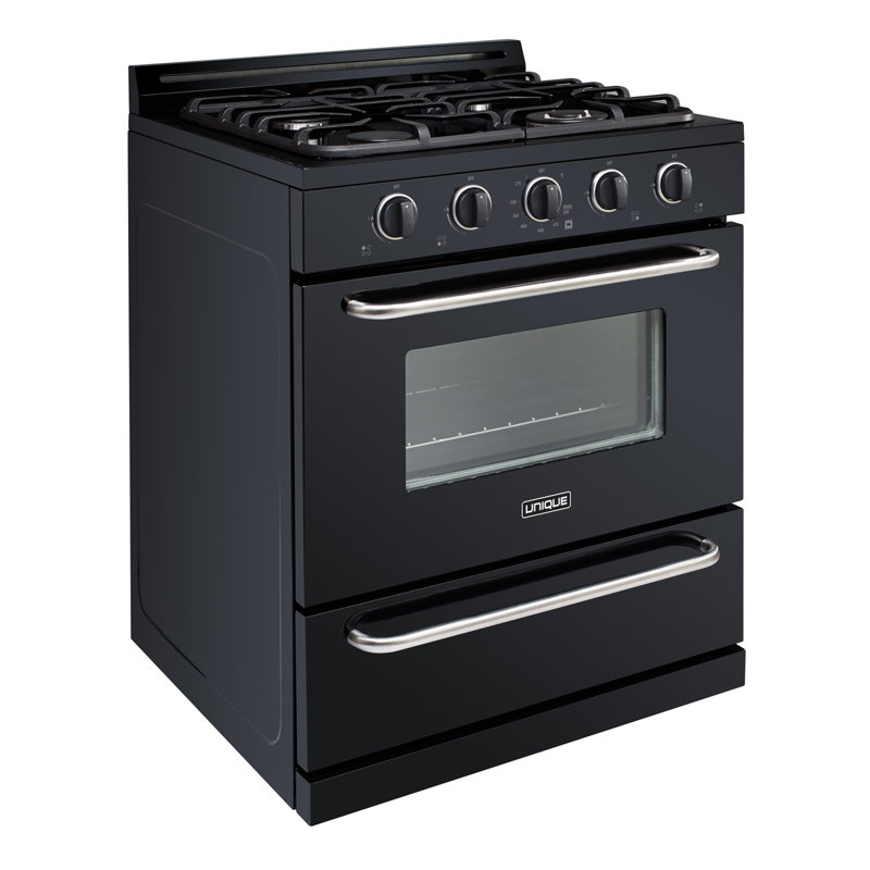 Unique Propane OffGrid 30" 3.9 cu ft. Freestanding Gas Range Wayfair